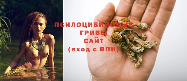 PSILOCYBIN Алзамай