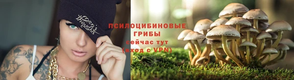 apvp Переславль-Залесский