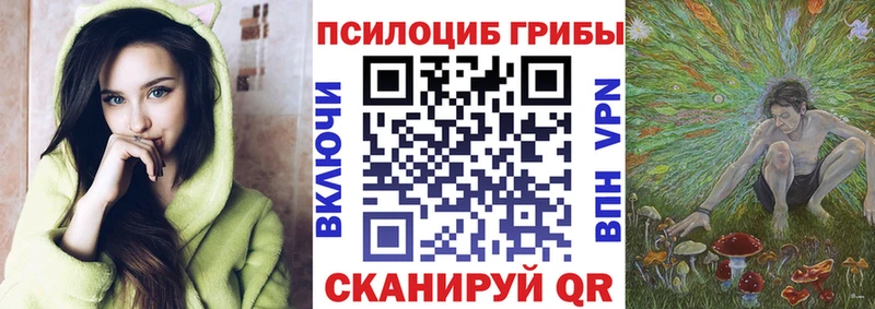 наркота  Лянтор  Псилоцибиновые грибы мицелий 